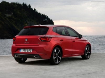 Seat Ibiza V