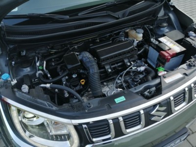 Suzuki Ignis 1.2 DualJet mild Hybrid 4WD 5MT Elegance - fot. Lesław Sagan