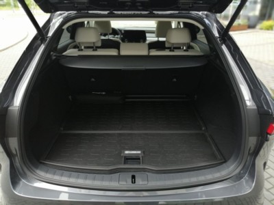 Lexus RX 450h+- fot. Lesław Sagan