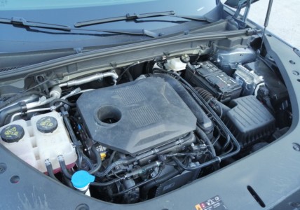 MG HS 1.5T MT6 - fot. Lesław Sagan